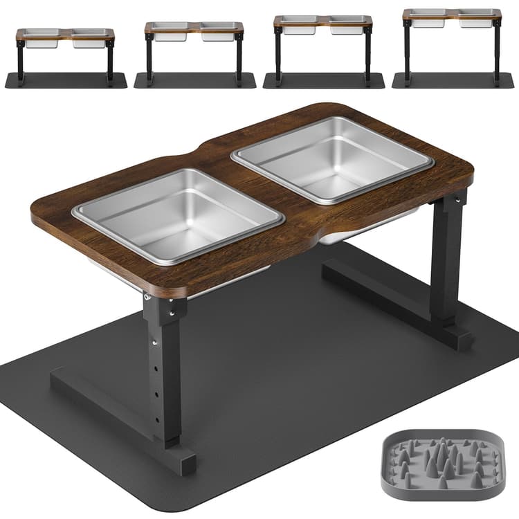 Raised Dog Bowl