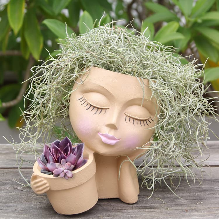can you use regular potting soil for succulents Cactus and Succulent Soil Mix: The Ultimate Pro Mix Formula