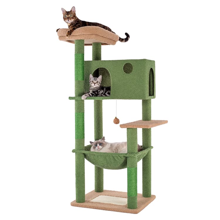 Meow Sir Cactus Cat Tree