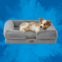 Pet Supplies