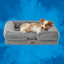 Pet Supplies