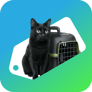 Pet Supplies